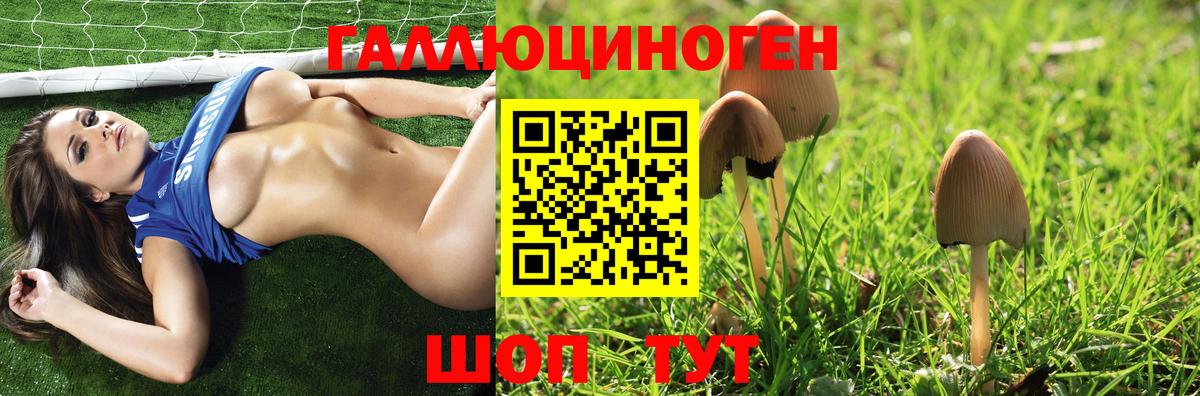 Зеленогорск  Псилоцибиновые грибы Psilocybe  Галлюциногенные грибы Psilocybe  Вход с VPN 